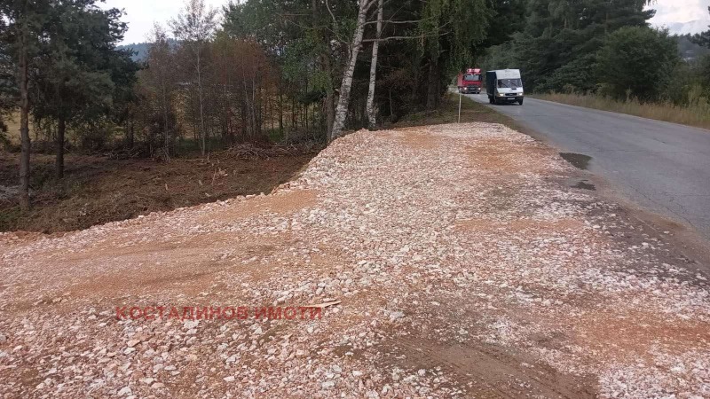 Продава ПАРЦЕЛ, яз. Батак, област Пазарджик, снимка 4 - Парцели - 39336089