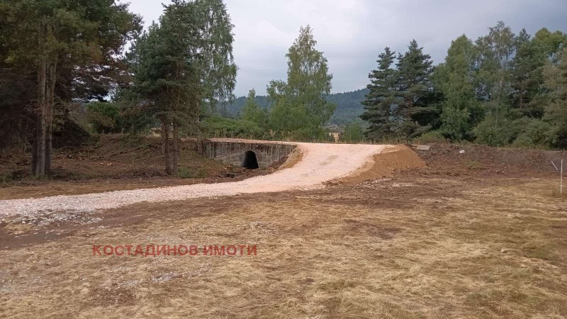 Продава ПАРЦЕЛ, яз. Батак, област Пазарджик, снимка 3 - Парцели - 39336089