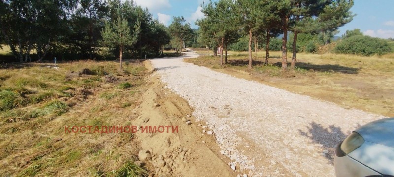 Продава ПАРЦЕЛ, яз. Батак, област Пазарджик, снимка 2 - Парцели - 39336089