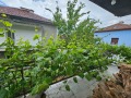 Продава КЪЩА, с. Струмешница, област Благоевград, снимка 16