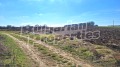 Продава ПАРЦЕЛ, с. Опанец, област Добрич, снимка 7