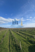 Продава ПАРЦЕЛ, гр. Варна, м-т Прибой, снимка 2