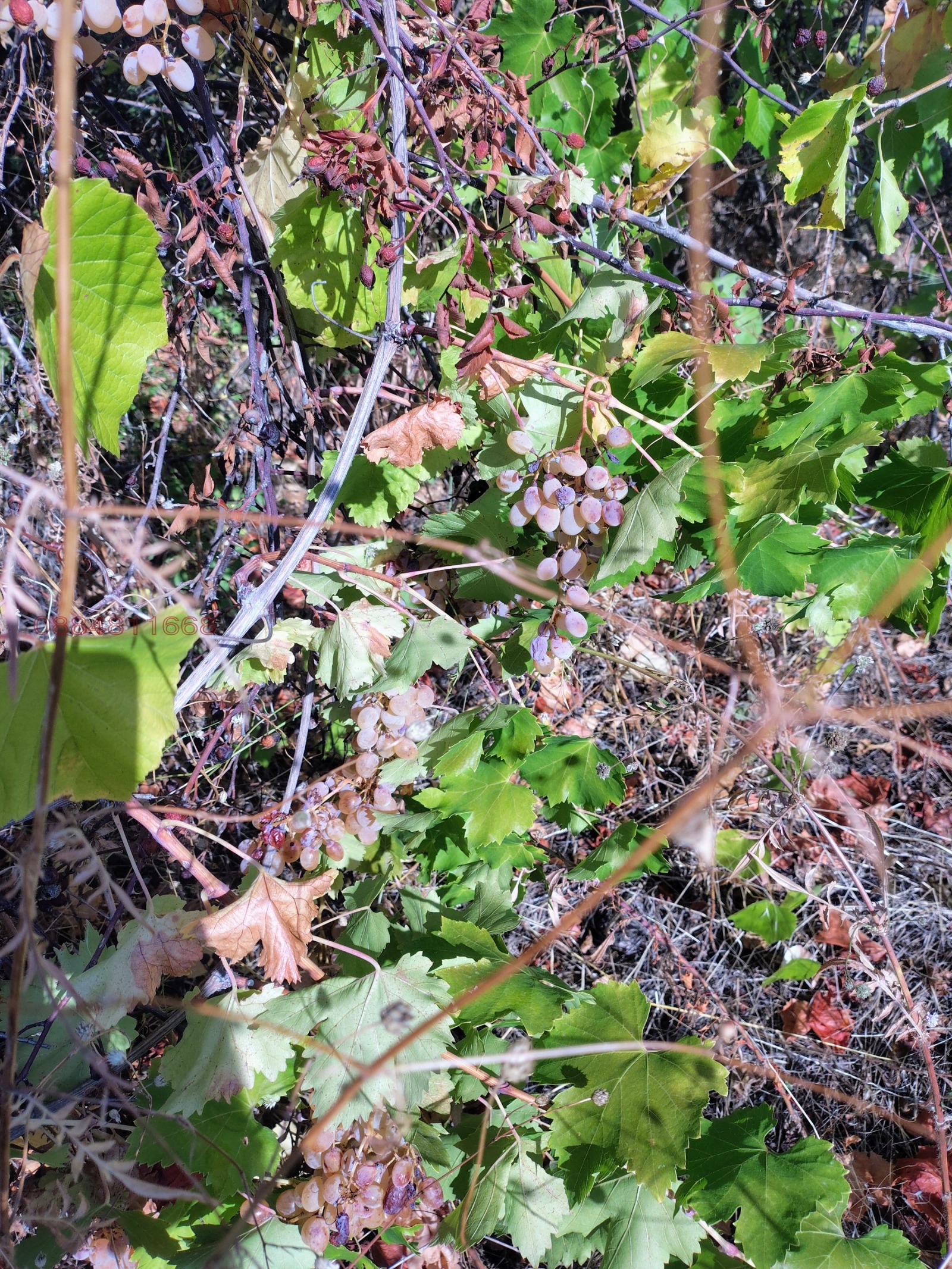 ������� ���������� ���� | Imot.bg � ����������� 6