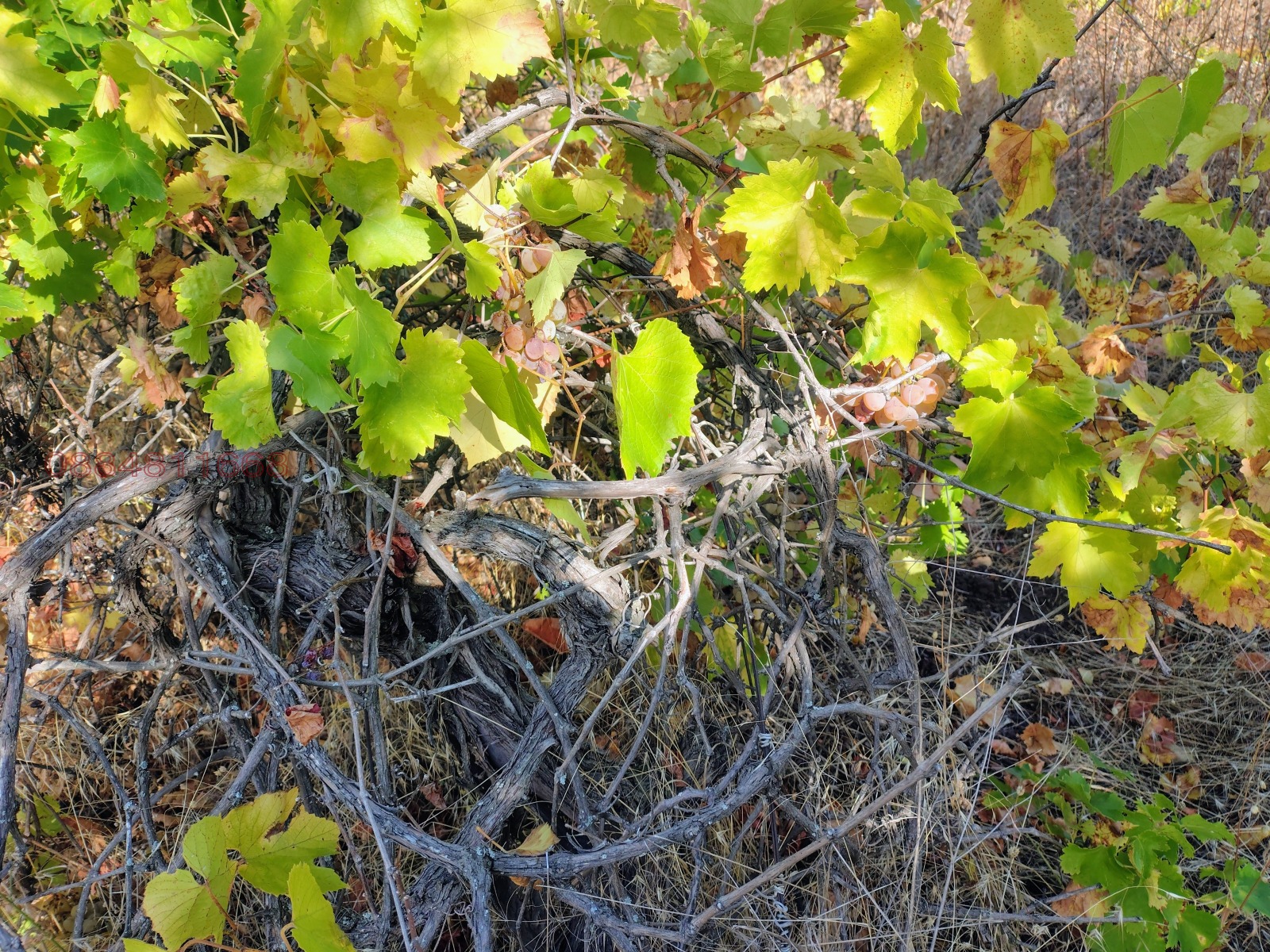 ������� ���������� ���� | Imot.bg � ����������� 4