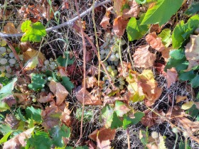 ������� ���������� ���� | Imot.bg � ����� ������ 7