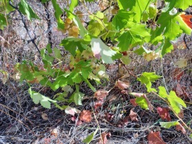 ������� ���������� ���� | Imot.bg � ����� ������ 5