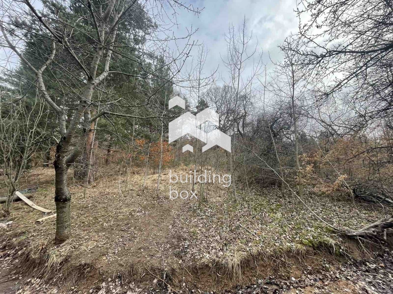 Продава ПАРЦЕЛ, гр. София, с. Владая, снимка 4 - Парцели - 54389658