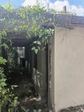 Продава КЪЩА, област Варна, с. Просечен • 53000 € • 18963873 — Holmes.bg