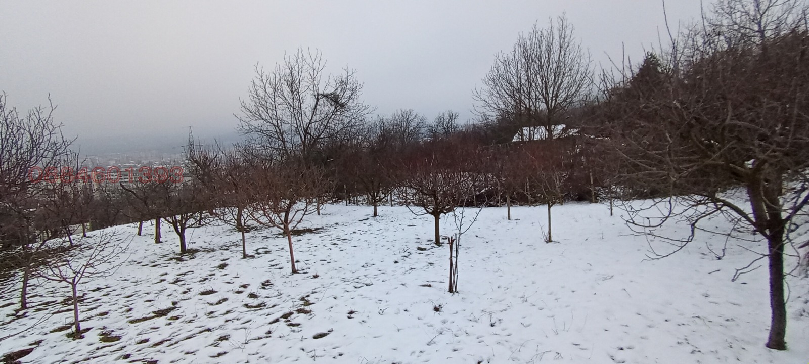 ������� ���� | Imot.bg � ����������� 5