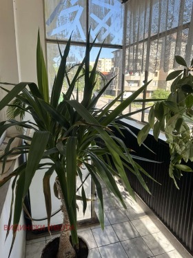 ������� ���� �� ���� | Imot.bg � ����� ������ 15