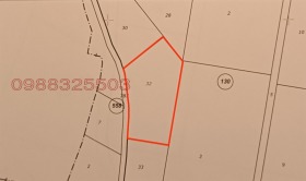 ������ ������� ������