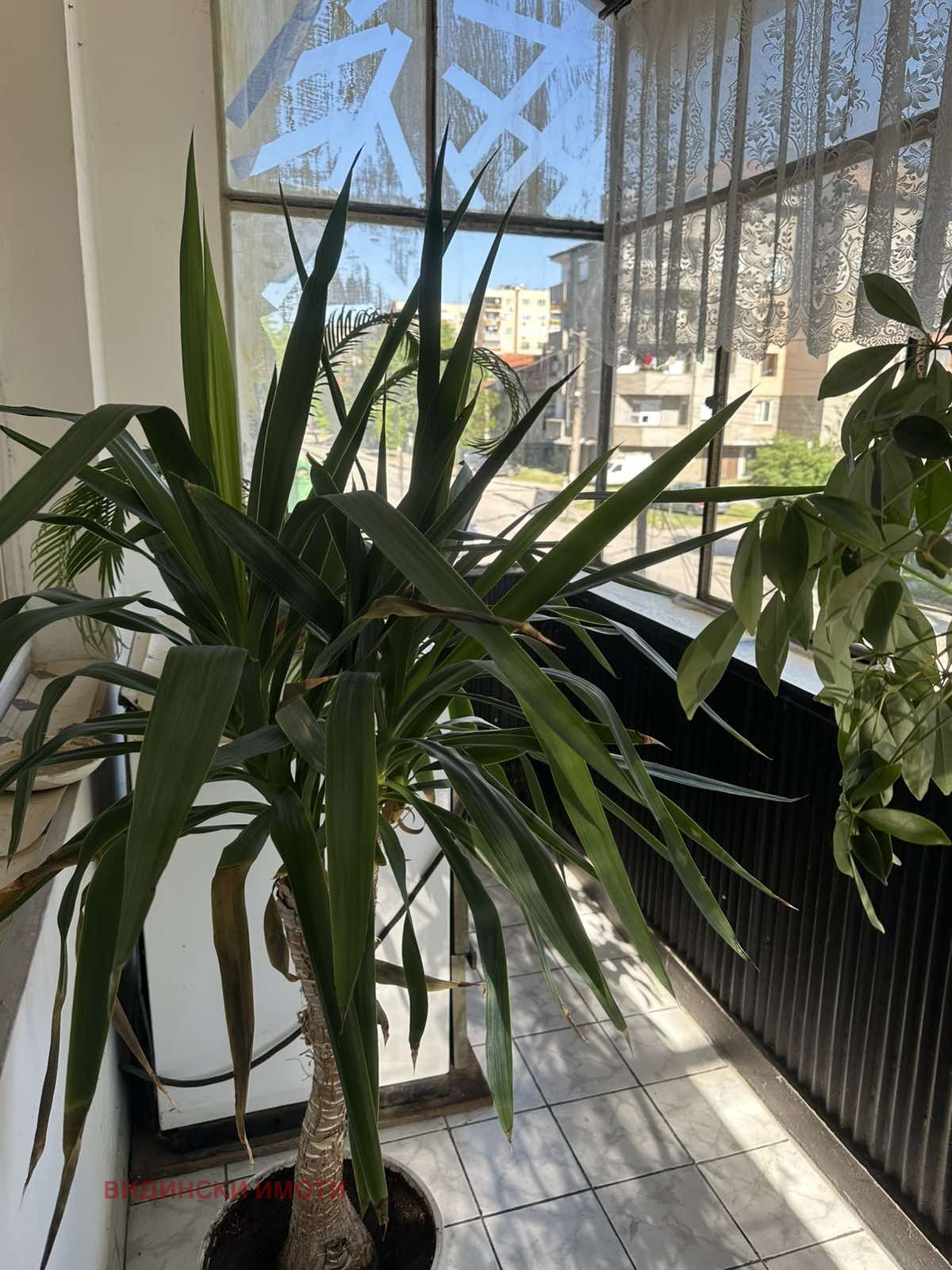 Продава ЕТАЖ ОТ КЪЩА, гр. Видин, Строител, снимка 15 - Етаж от къща - 54330291