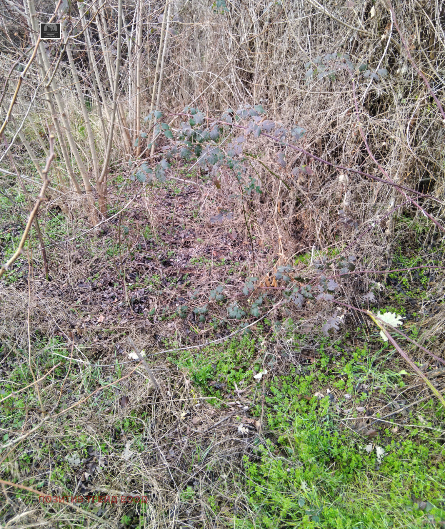 ������� ���� | Imot.bg � ����������� 3