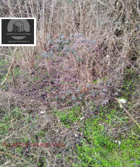 ������� ���� | Imot.bg � ����� ������ 3