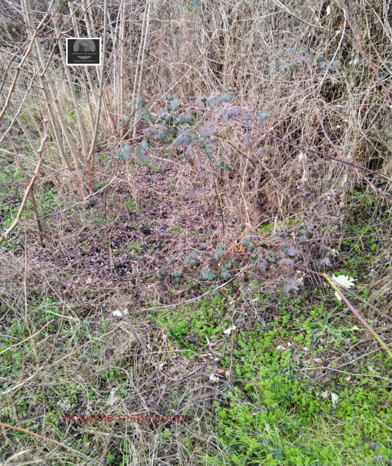 Продава КЪЩА, гр. Бобошево, област Кюстендил, снимка 3 - Къщи - 53262259