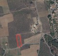 Продава ПАРЦЕЛ, с. Малка Верея, област Стара Загора, снимка 2