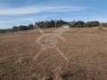 Продава ПАРЦЕЛ, град София, с. Войнеговци • 1386000 € • 64356410 — Holmes.bg