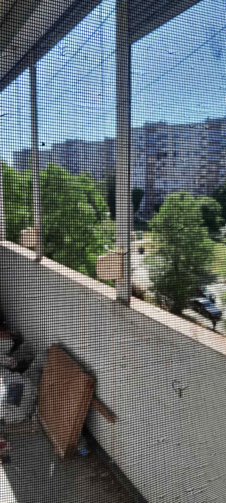 En venta  2 dormitorios Pleven , Mara Dencheva , 100 metros cuadrados | 89102398 - imagen [16]