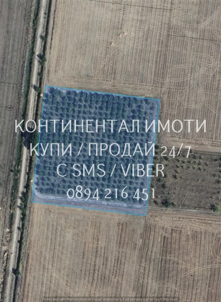 For Sale  Land region Plovdiv , Graf Ignatievo , 11 dka | 28728698