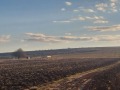 Продава ПАРЦЕЛ, с. Пролеша, област София област, снимка 2
