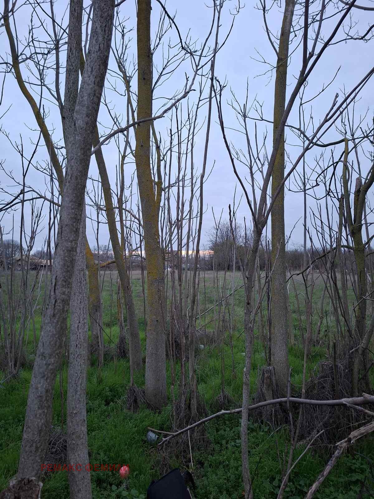 ������� ������ | Imot.bg � ����������� 2