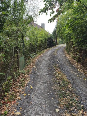 ����� ������� ����,�. ����� �������, ������ �����