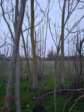 ����� ������� ������,�. �������, ������ �����