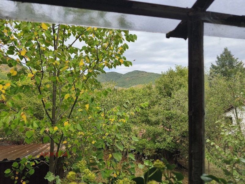 Продава ВИЛА, с. Владо Тричков, област София област, снимка 15 - Вили - 52810045