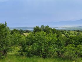 Плот Поповци, регион Софиа 1