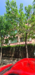 Продава 2-СТАЕН, област Бургас, к.к. Слънчев бряг • 69000 € / 134952.27 лв. • 35786726 2
