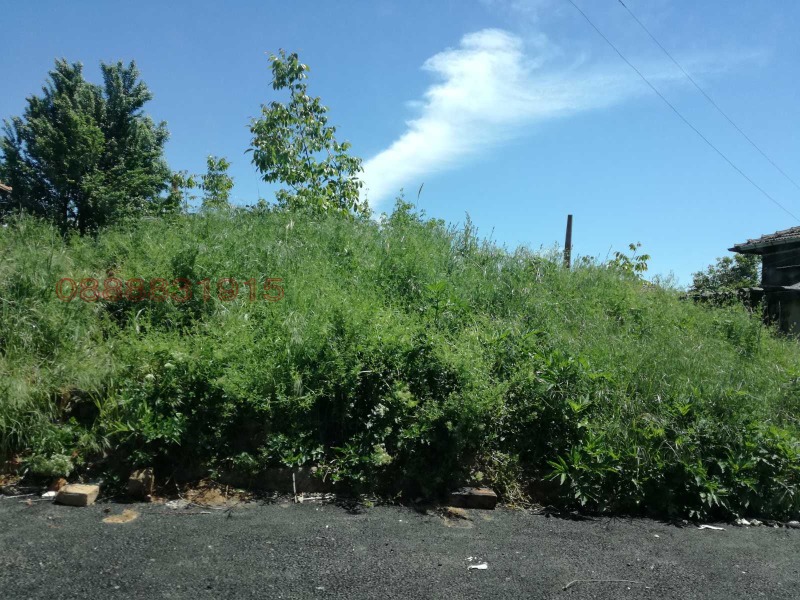 Продава ПАРЦЕЛ, гр. Брусарци, област Монтана, снимка 2 - Парцели - 52786341