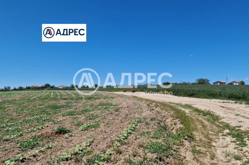 Продава ПАРЦЕЛ, с. Здравец, област Варна, снимка 2 - Парцели - 52747047