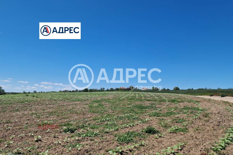 Продава ПАРЦЕЛ, с. Здравец, област Варна, снимка 3 - Парцели - 52747047