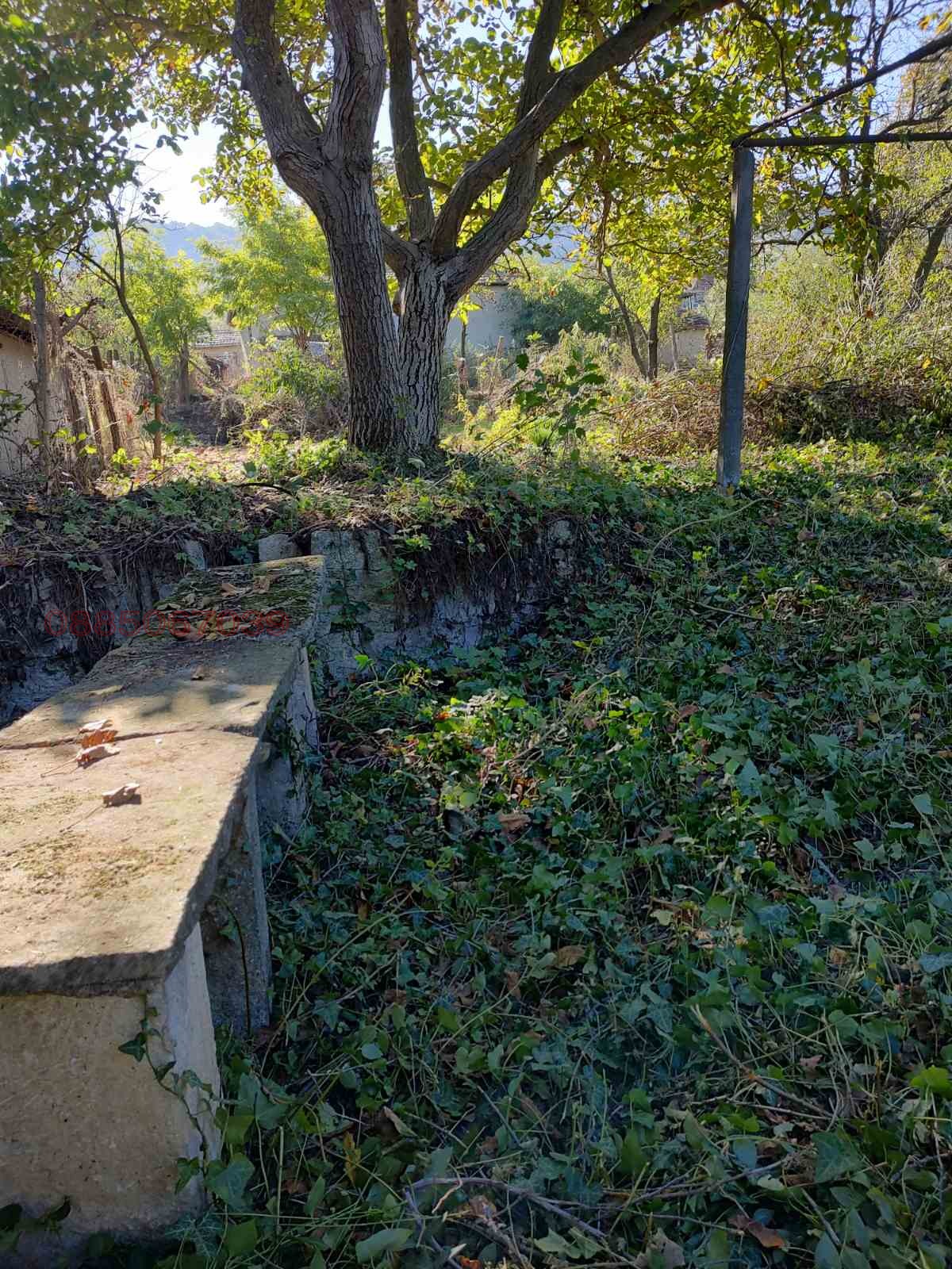 Продава ПАРЦЕЛ, гр. Каспичан, област Шумен, снимка 7 - Парцели - 54008494