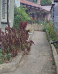 Продава ЕТАЖ ОТ КЪЩА, гр. Враца, Център, снимка 1