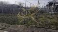 Продава КЪЩА, област Бургас, с. Кошарица • 100000 € / 195583.00 лв. • 22126480 6