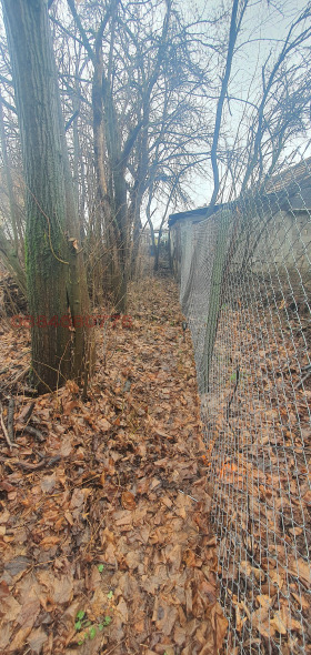 ����� ������� ������,��. ����������, ������ �����