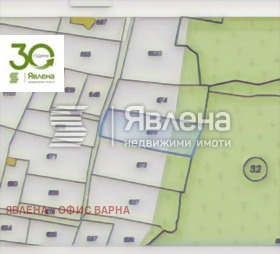 ����� ������� ������,���� �����, �. ��������