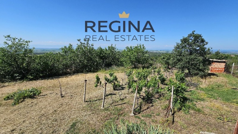 Продава ВИЛА, гр. Хисаря, област Пловдив, снимка 11 - Вили - 52848608