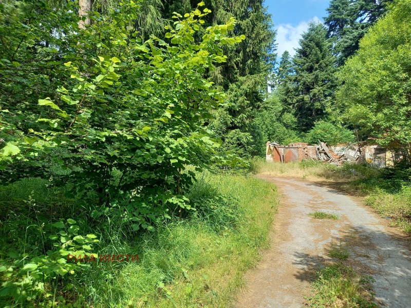 Zu verkaufen  Handlung region Sofia , k.k. Borowez , 3000 qm | 23055966 - Bild [7]