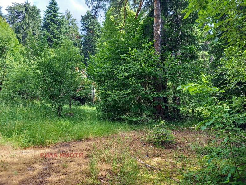 Zu verkaufen  Handlung region Sofia , k.k. Borowez , 3000 qm | 23055966 - Bild [3]