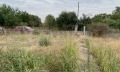 Продава  Къща област Видин , с. Сланотрън , 246 кв.м | 64302444 - изображение [5]