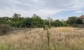 Продава  Къща област Видин , с. Сланотрън , 246 кв.м | 64302444 - изображение [6]