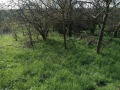 Продава ПАРЦЕЛ, област Добрич, с. Богдан • 5000 лв. / 2556.46 € • 59758154 5