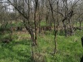 Продава ПАРЦЕЛ, област Добрич, с. Богдан • 5000 лв. / 2556.46 € • 59758154 4