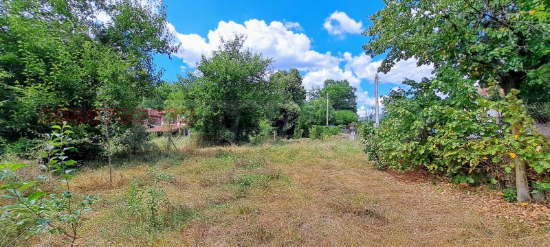 Продава КЪЩА, с. Душево, област Габрово, снимка 16 - Къщи - 52781411