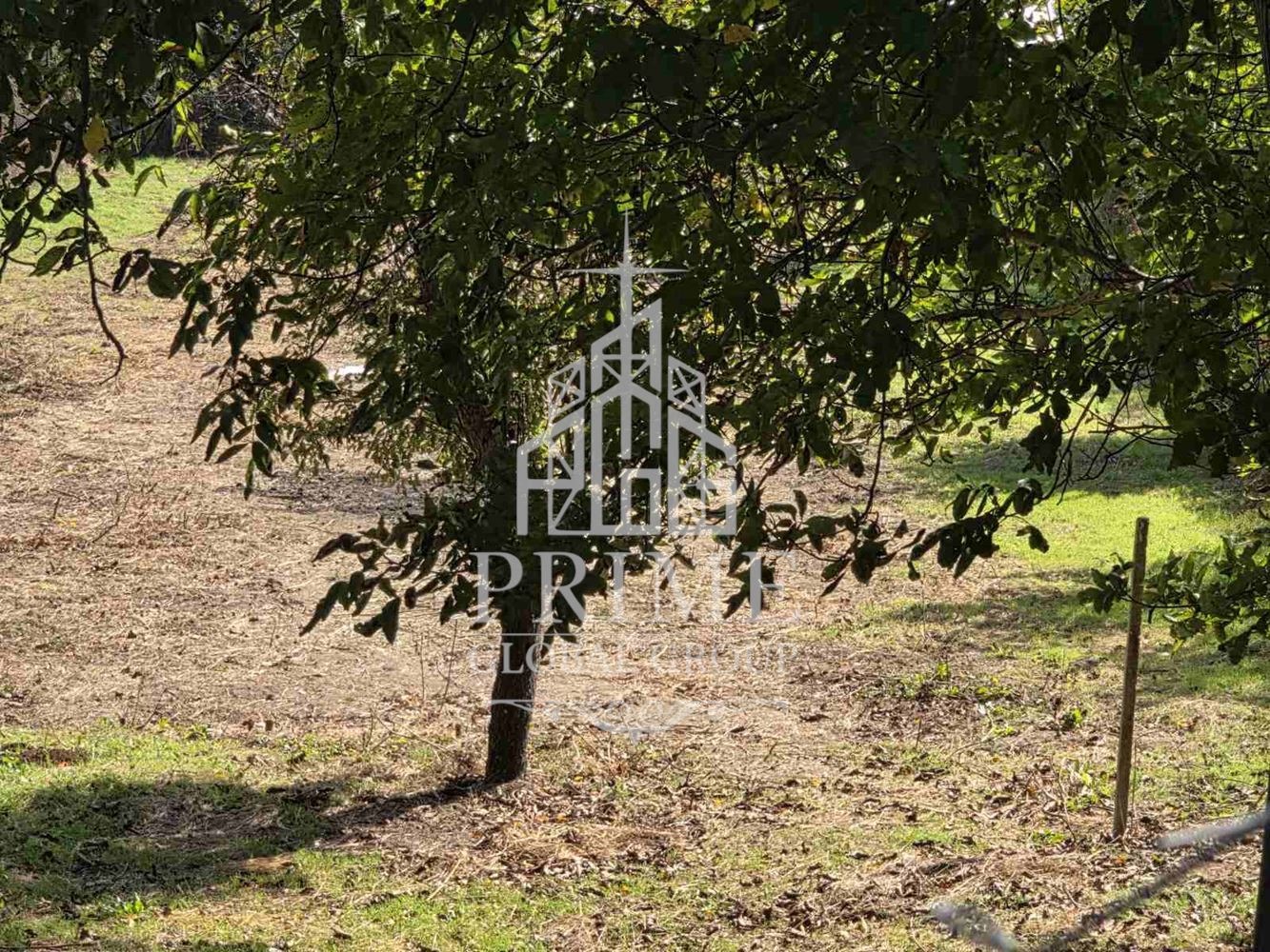 Продава ПАРЦЕЛ, с. Долище, област Варна