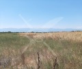 Продава ПАРЦЕЛ, област Пловдив, с. Войводиново • 51800 € • 22580529 — Holmes.bg