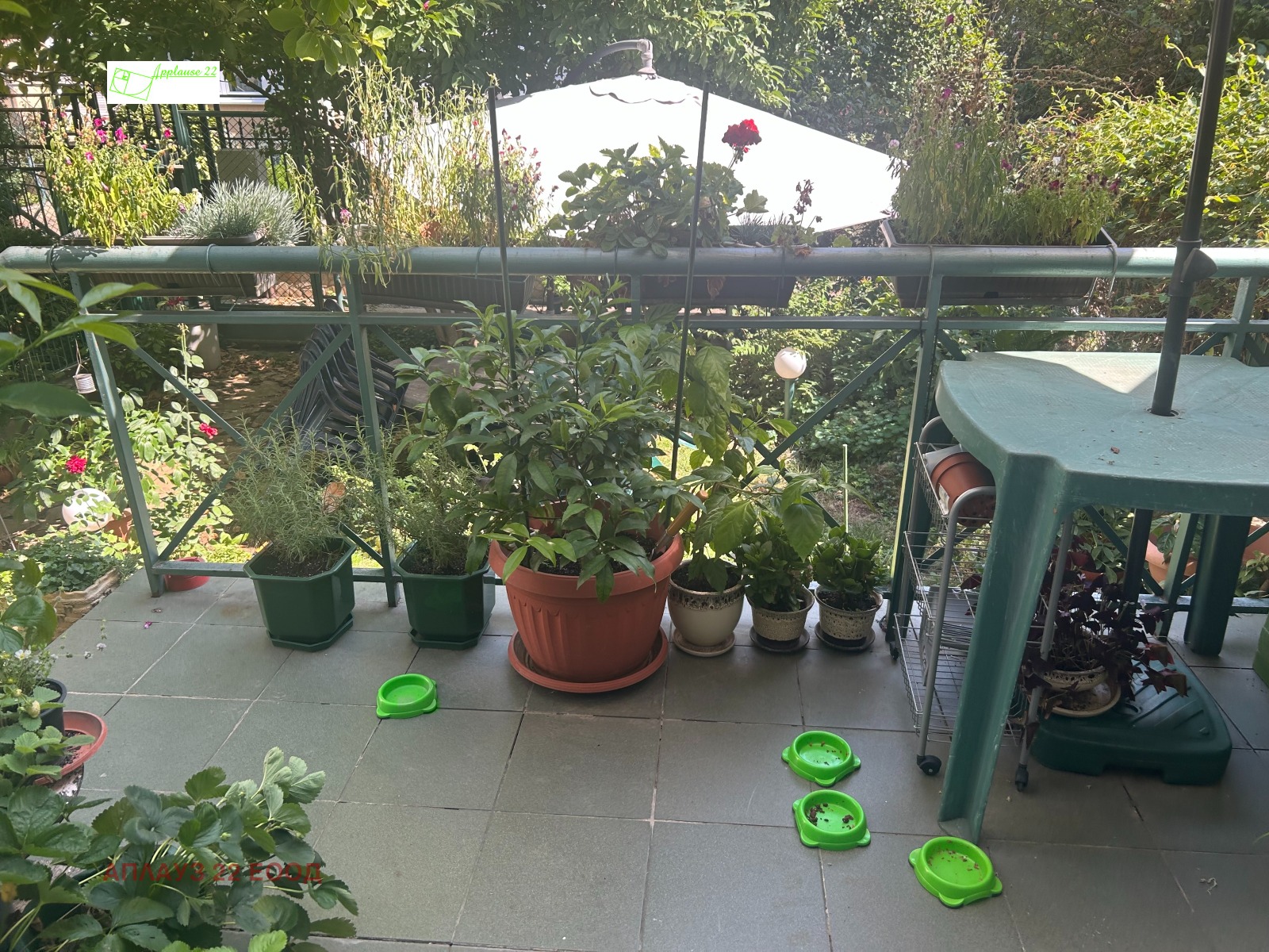 ������� ���� | Imot.bg � ����������� 1