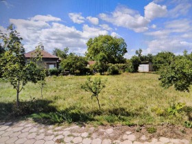 Trama Iana, Sofia